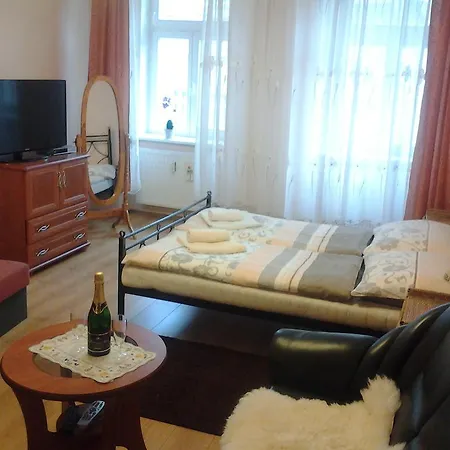Apartamento U Tří jehňátek Karlovy Vary Habitación foto